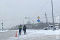 В Зеленограде задержали таксиста с мефедроном