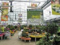 17 апреля в ТРЦ «Зеленопарк» откроется садовый супермаркет