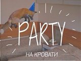 Party  