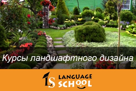 Language School     