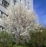 040512_9.jpg 040512_9.jpg