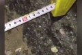 14 ����� � ��������� �������� ��������� �� ����������� ����� �����������