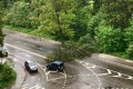 ��������� ����� �������� ������� � ����������� ������ ������������ ���������