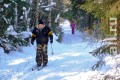 ������ ��������� ������������� � ��������� ������� ������