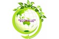 ������������� � �������������� ���� � ������� ������ EcoVille