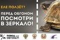 � ����������� � 21 �� 24 ������� ������� ���������������� ����������� ���������� ������