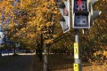 �� ���������� ������������ ��������� ��������� ������ ��� ���������