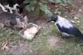 ������������ ������� ������������ ������ ������