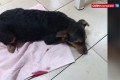 ����������� ��������� ���� ������ � ������ �����