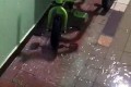 ����� � ������� 166