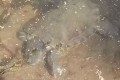�������� �� �������� �����