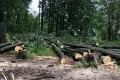 ������ �������� ���������� �� ������� ������� ���� � �������