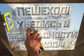 � ����������� � 21 �� 27 ������� ���������� ���������������� ����������� ����������� �������