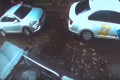 ������� ��������� ��������������� ���������� ����������
