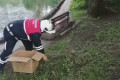 ������������� ����������� ������ ����� � �����