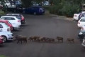 � ������������ ����� ������ �������������� �������� ����� � ������� � �����������