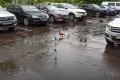 ���� ������ �� �����