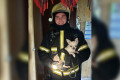 Пожарные спасли собаку в 11-м микрорайоне
