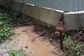 ����������� ����������� ���������� ���� ���� �� ������� � 9-� �����������