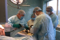 В горбольнице поставили на поток высокотехнологичные операции на коленях
