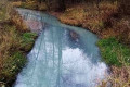 Река Ржавка в Зеленограде посинела