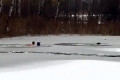 Двое мужчин бросились в пруд ради спасения собак