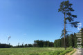 «Лес Победы» между Зеленоградом и Алабушево будут сажать три дня