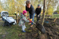 190 именных деревьев посадят в Зеленограде этой осенью