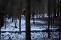 ��� ���, ������?� ������ � �������������� ����