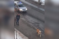 ����������� ��� ������������ �� ����������� ������������� ������ ������ ������