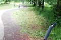 ������� ����� ������ � ��������? �����