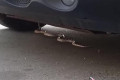 � ������ ������������ �������� ����