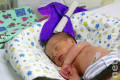 Зеленоградский роддом установил годовой рекорд по количеству новорожденных
