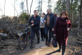 Более 450 деревьев вырубят в лесу между Ржавками и Менделеево для прокладки пешеходной дорожки