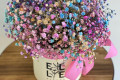 �������� � ����� ������ � Elle fleurs