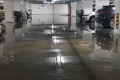 � ����������� �� ��������� ���� �������� ��������� �������