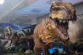 В «Зеленопарке» откроется выставка динозавров