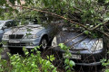 Ураган повалил в Зеленограде 100 деревьев и повредил 12 машин