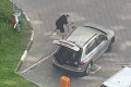 ����� ��������. �����