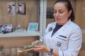 � ����������� ����������� ������� �����