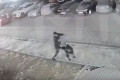 ������� � ����� ����� �� ������� �� ����� � �������