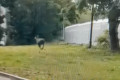 �� ����������� ������ ����