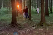 Поджог дерева в лесу у 11-го микрорайона. Видео