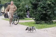 Съемки кино с мини-пигом. Видео