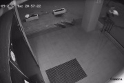 Кража цветов из клумбы. Видео