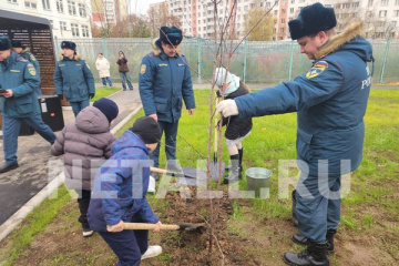 В Зеленограде заложили аллею памяти героям-пожарным. Видеорепортаж