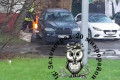 � ���������� ������ � ����������� ���������� ���� ���������� �������������� ������