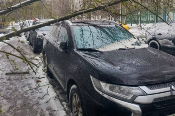 ����������� ��������� � �����������. ����������