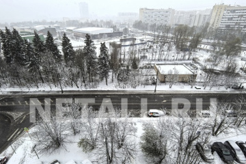 ��������, ������!� ������������ ������� ����� � �������� �����������