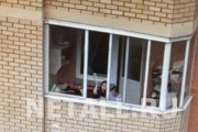 ���� � ������ ������������ �������������� ������ �������� � �����. �����